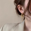 Metal chain tassel earrings