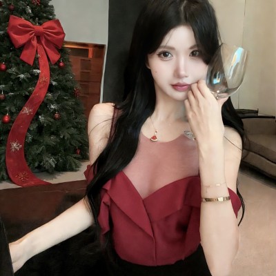 Mesh-paneled V-neck off-shoulder top